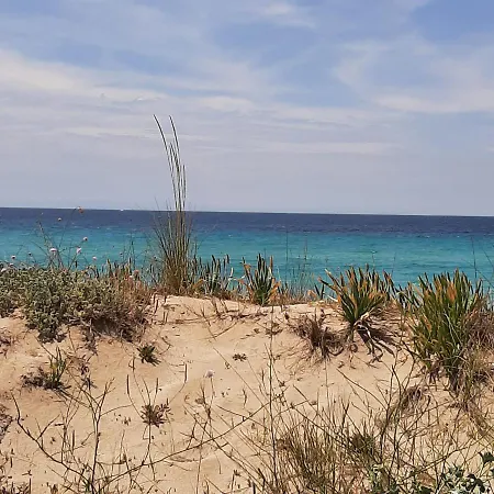 Medusa House فندق مبيت وإفطار