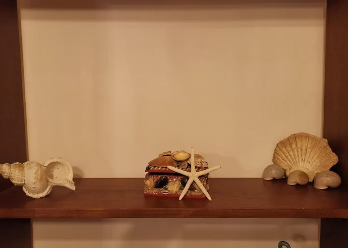 Alojamento de Acomodação e Pequeno-almoço Medusa House