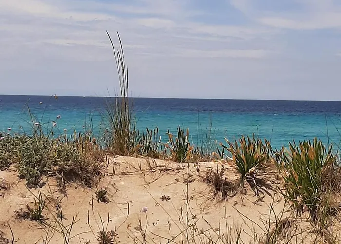 Medusa House 住宿加早餐酒店